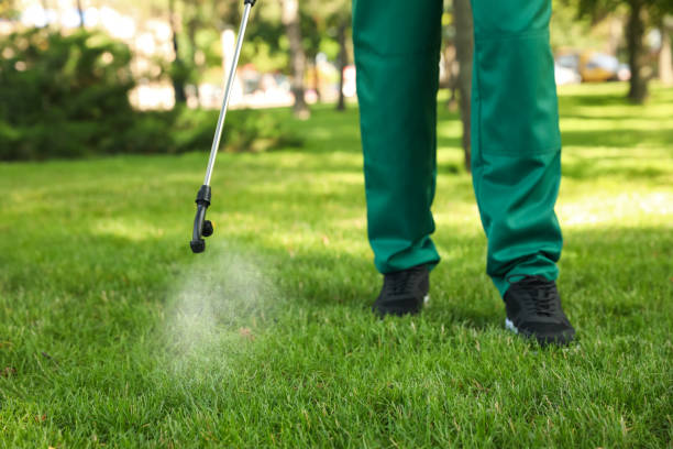 Best Flea Control Services  in Reserve, LA