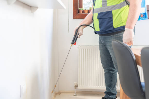 Best Wasp Removal Services  in Reserve, LA