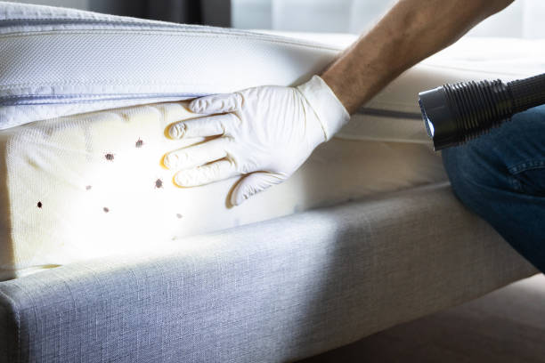 Best Cockroach Control Services  in Reserve, LA